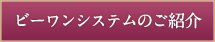 ビーワンシステムのご紹介