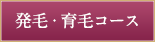 発毛・育毛コース